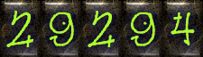 website counter